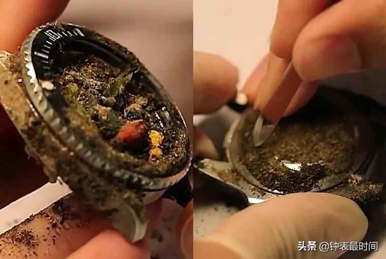 劳力士潜航者黑水鬼遗失草丛受损，修表师能否妙手回春？  第2张
